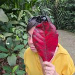 Защо не написах нов пост за блога тази седмица